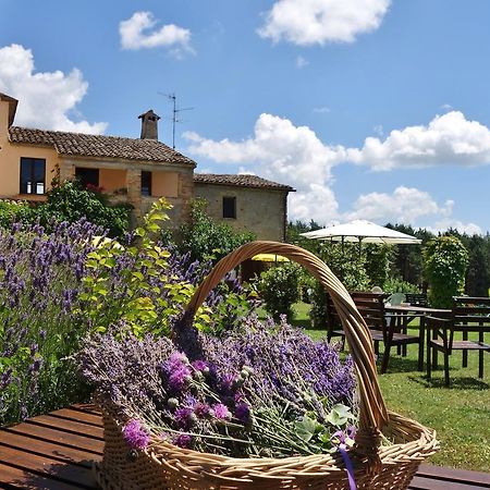 Agriturismo Monterosello Citta di Castello Ngoại thất bức ảnh
